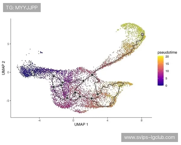 阿古拉足球比赛历程回顾与个人成长轨迹分析